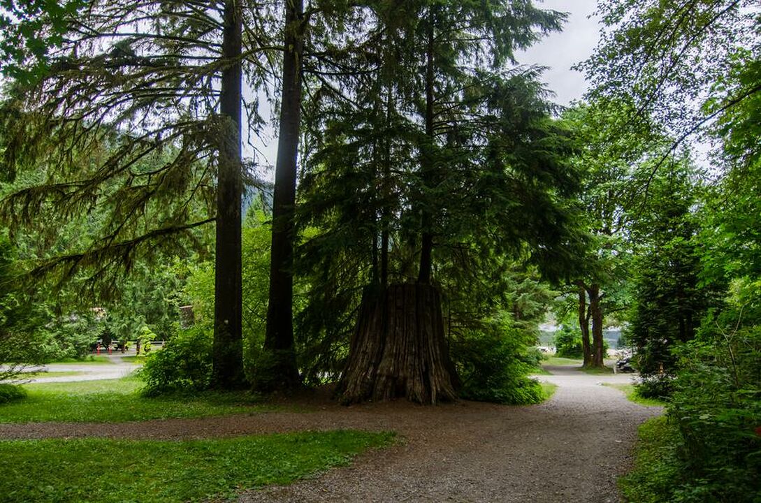 South Beach (Buntzen Lake)