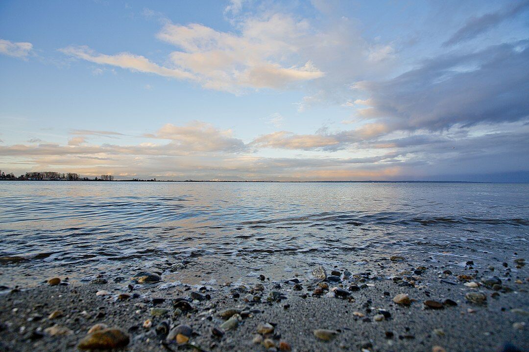 Boundary Bay Regional Park