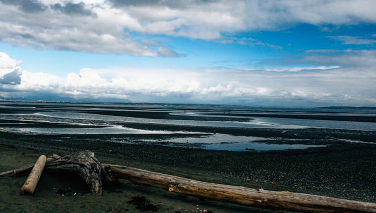 Boundary Bay Regional Park