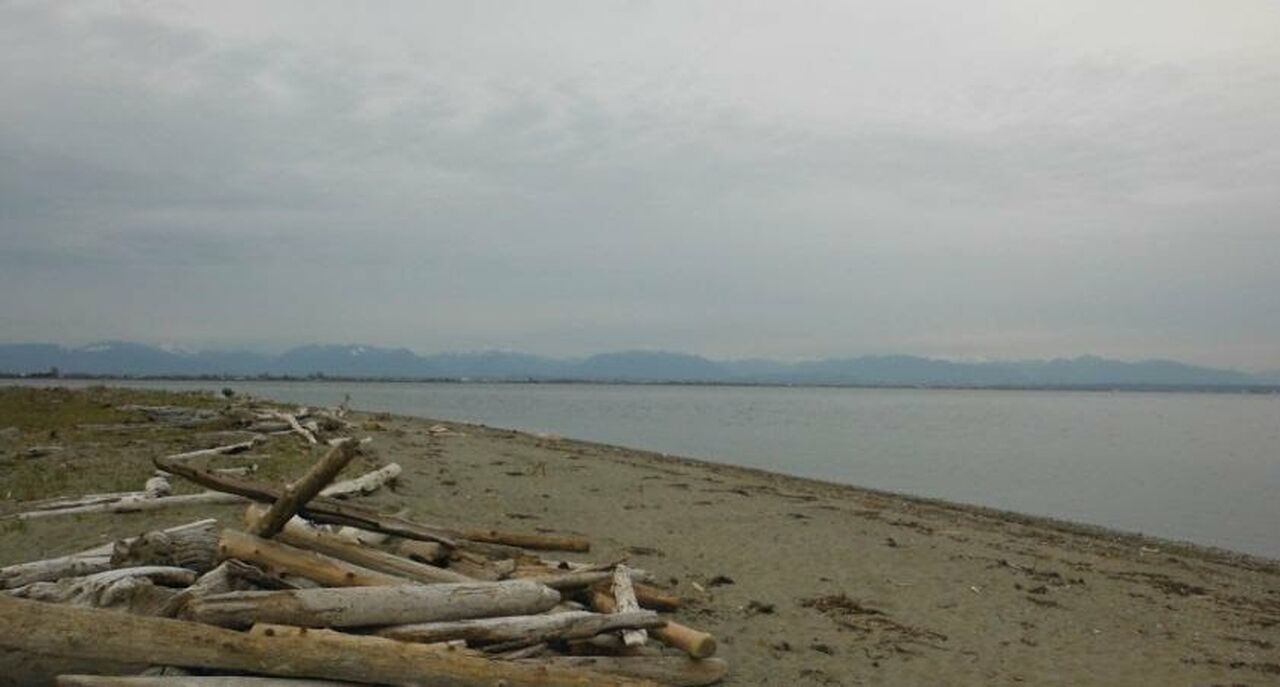 Boundary Bay Regional Park