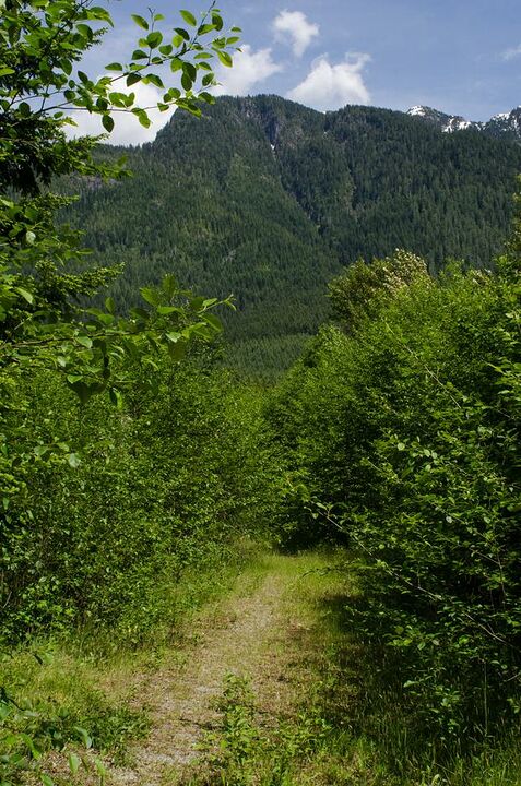 Gravel Pit near Mid-Valley Viewpoint (LSCR)