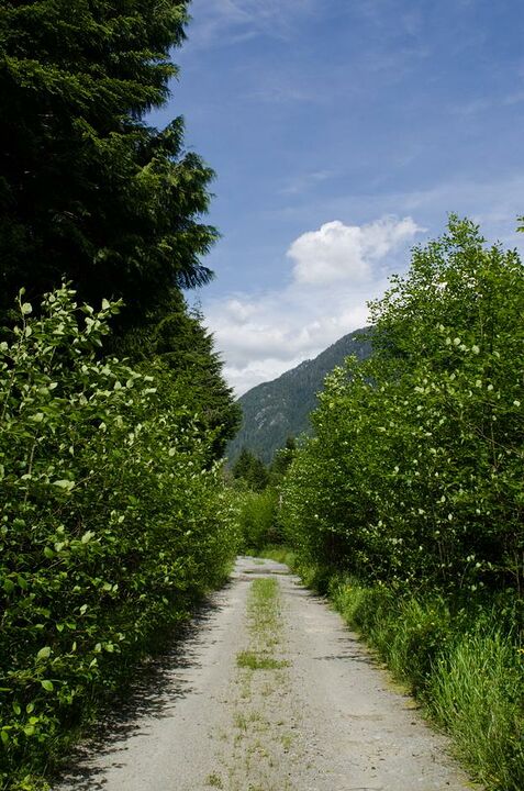 Gravel Pit near Mid-Valley Viewpoint (LSCR)