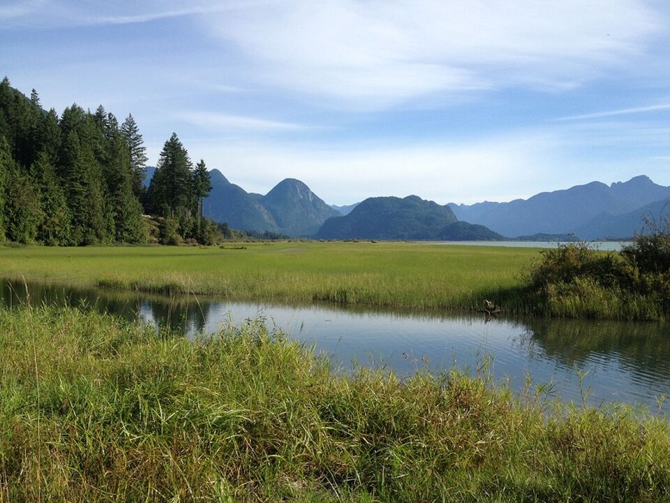 Widgeon Slough South Dock