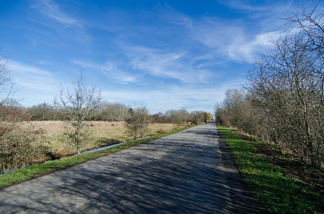 North 40 Dog Park