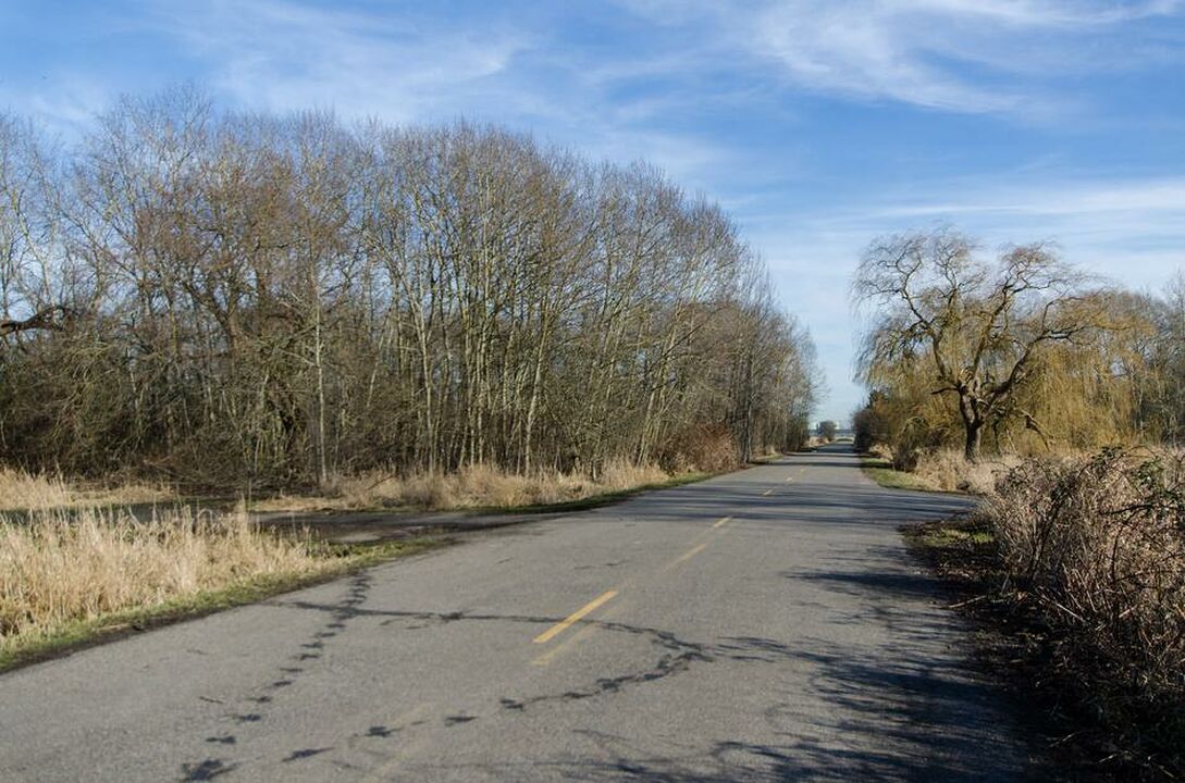 North 40 Dog Park
