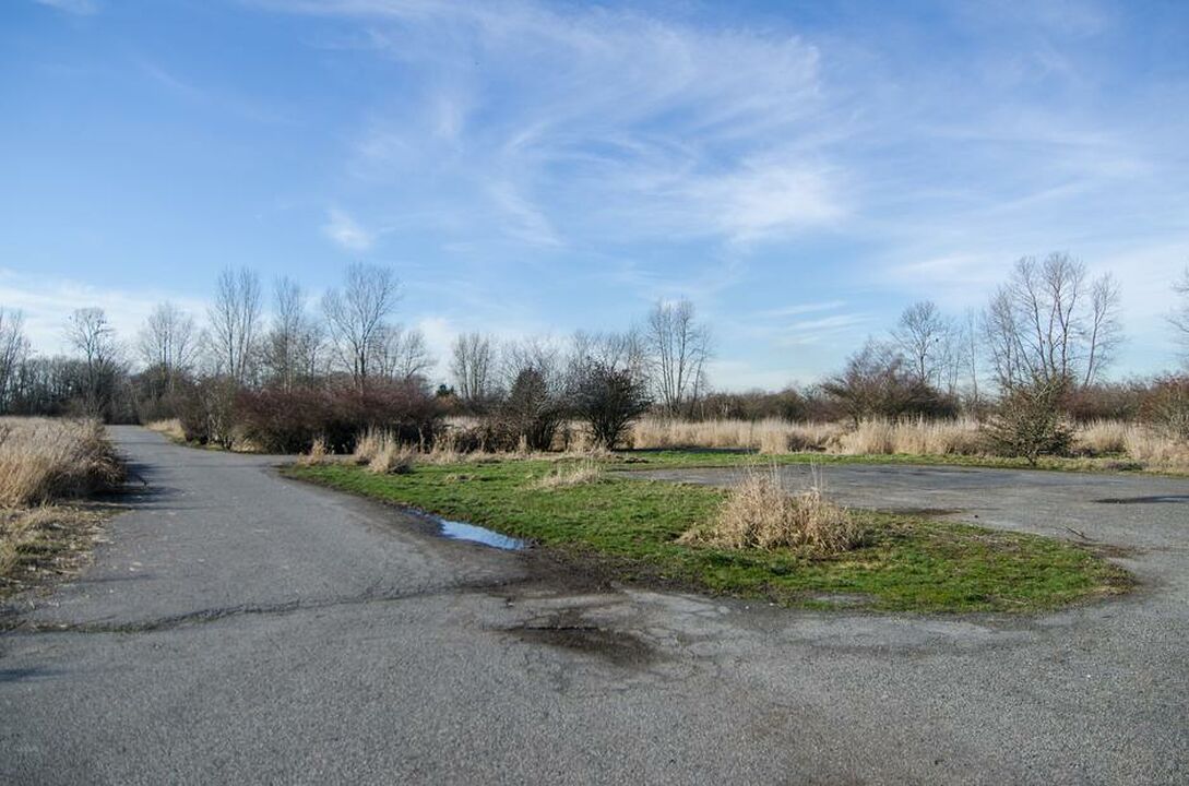 North 40 Dog Park
