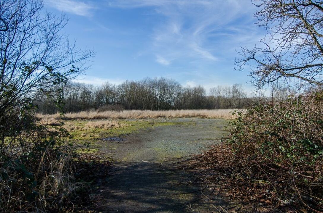 North 40 Dog Park