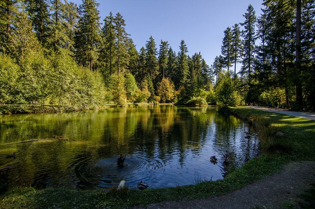 Burnaby Central Park