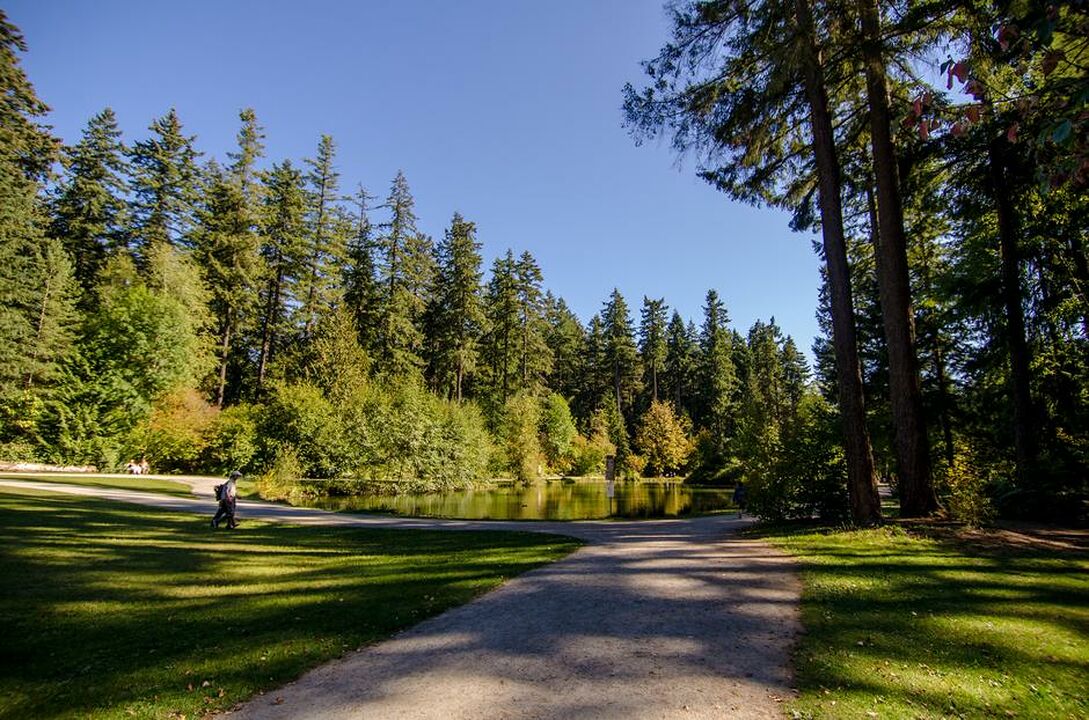 Burnaby Central Park
