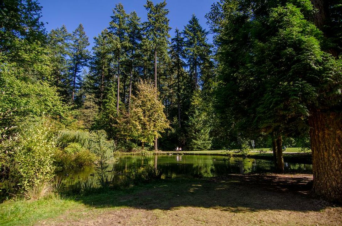 Burnaby Central Park