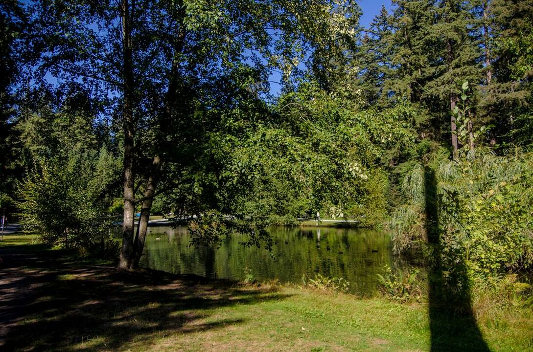 Burnaby Central Park