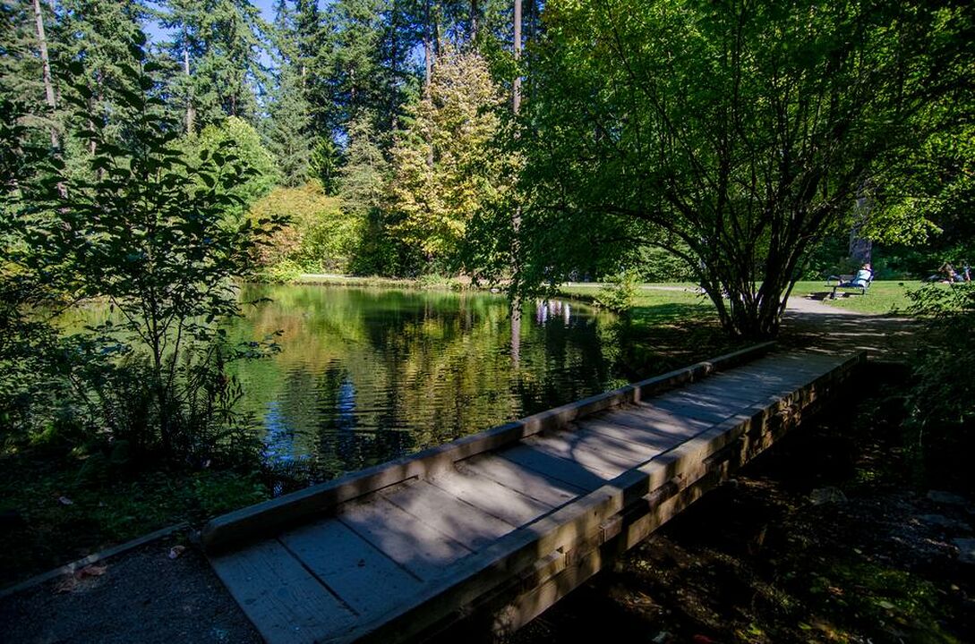 Burnaby Central Park