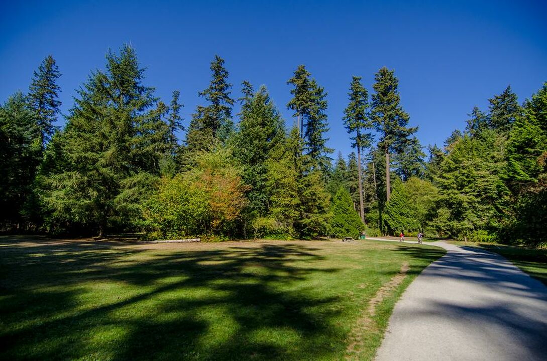 Burnaby Central Park