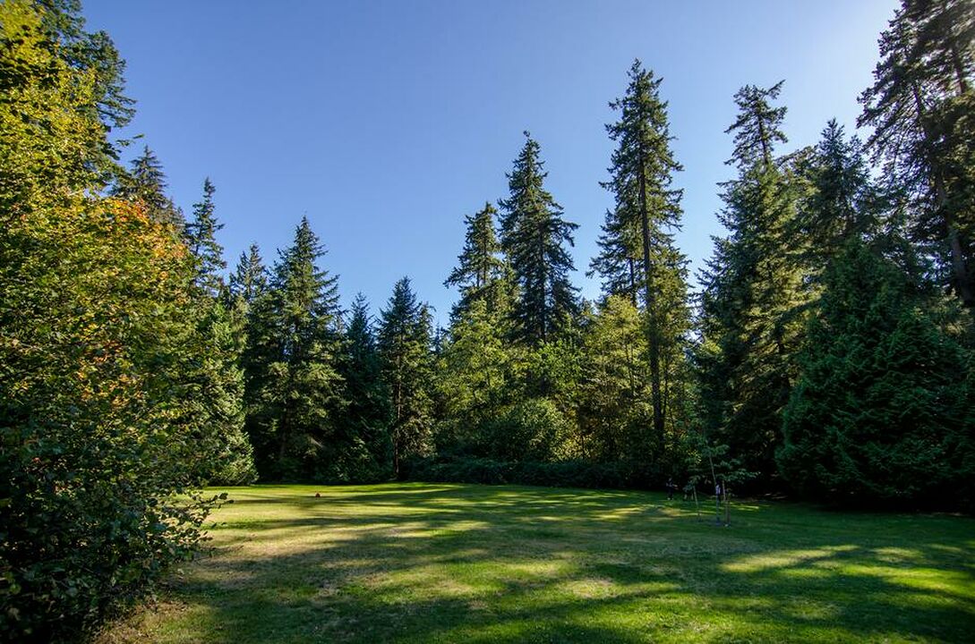 Burnaby Central Park