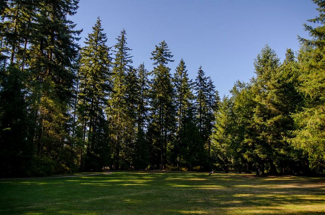 Burnaby Central Park