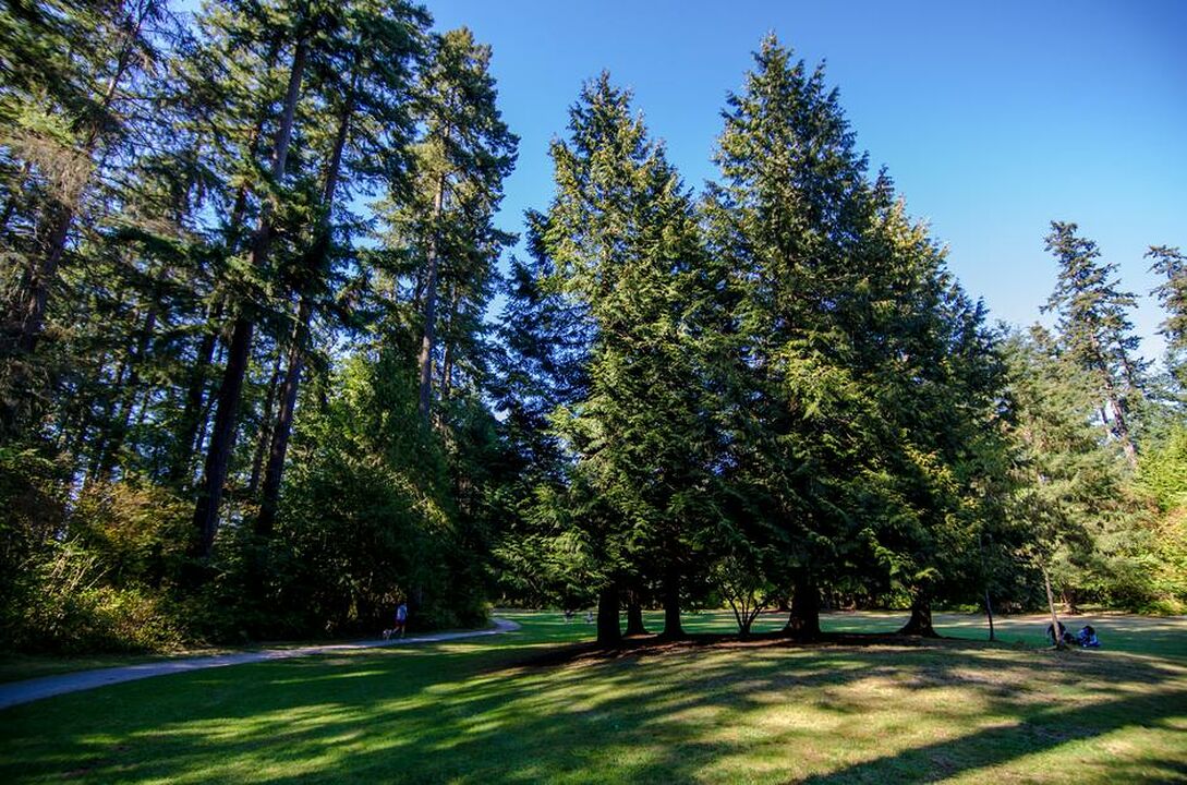 Burnaby Central Park