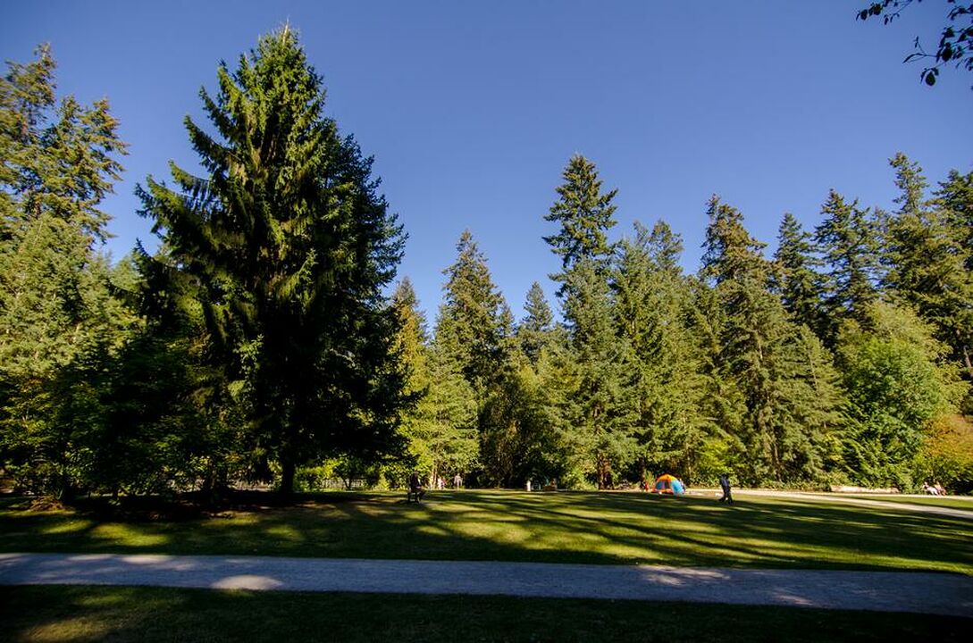 Burnaby Central Park