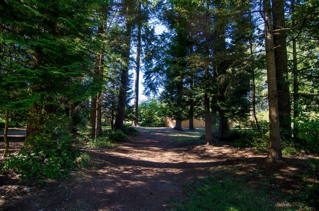 Burnaby Central Park