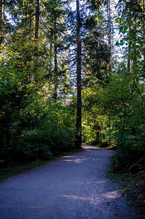 Burnaby Central Park