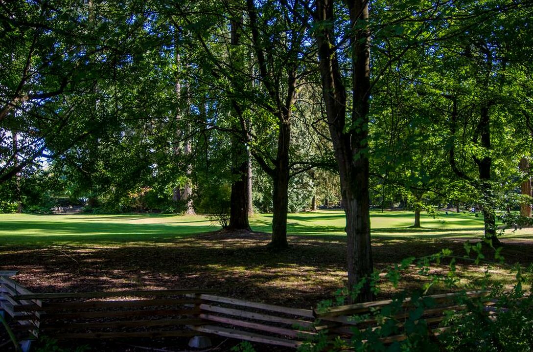 Burnaby Central Park