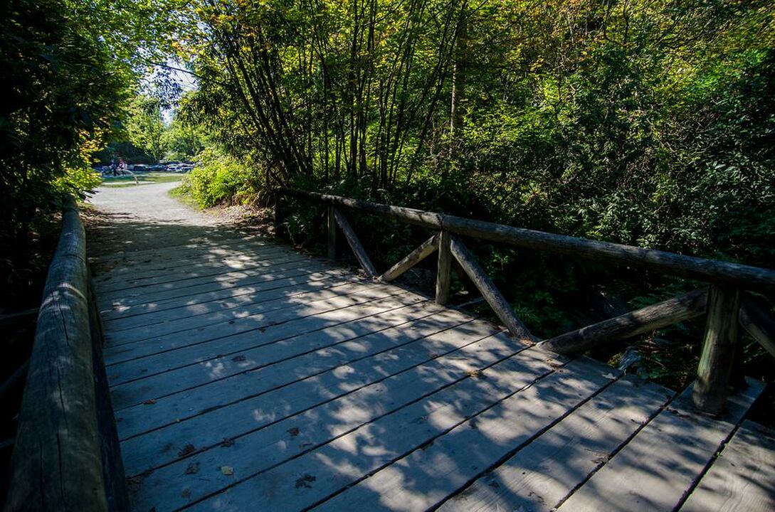 Burnaby Central Park