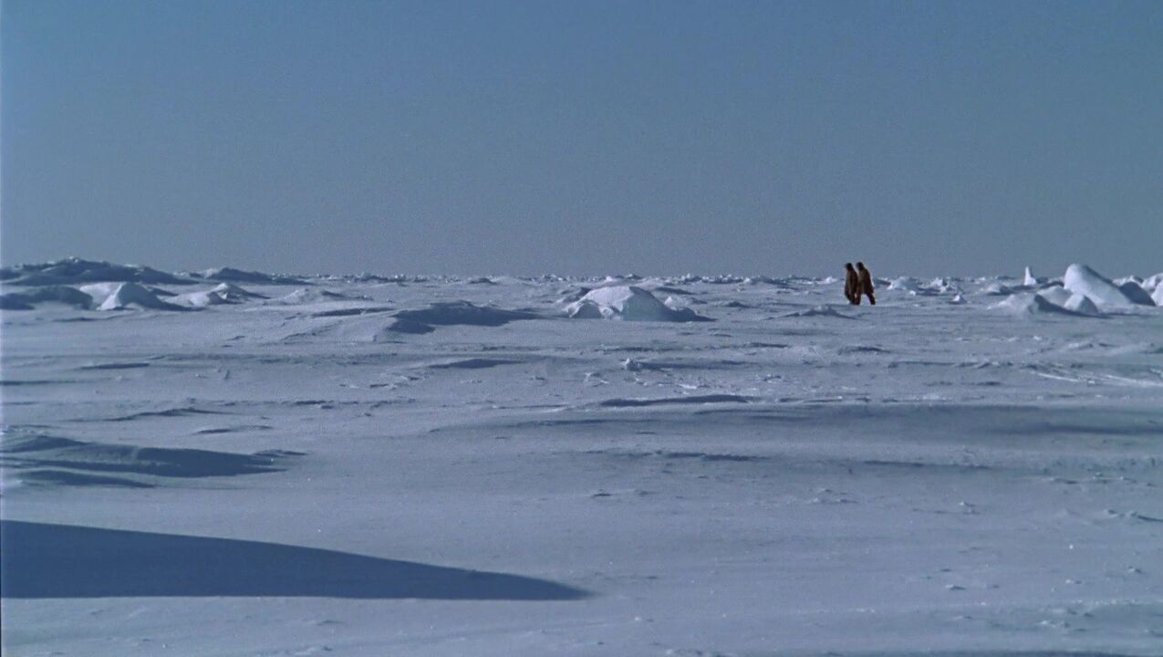 Applied Physics Laboratory Ice Station (APLIS)