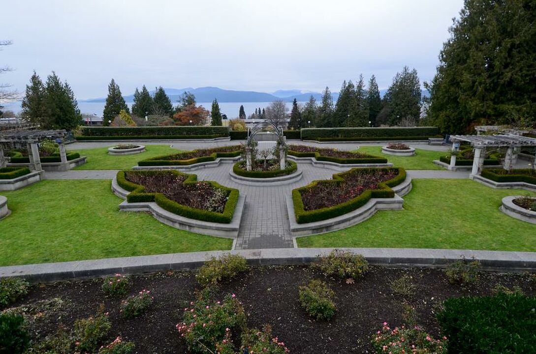 Rose Garden