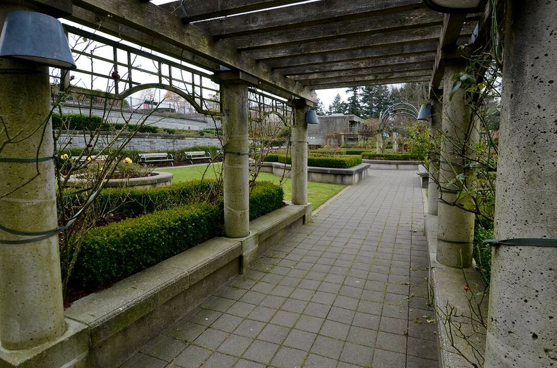 Rose Garden