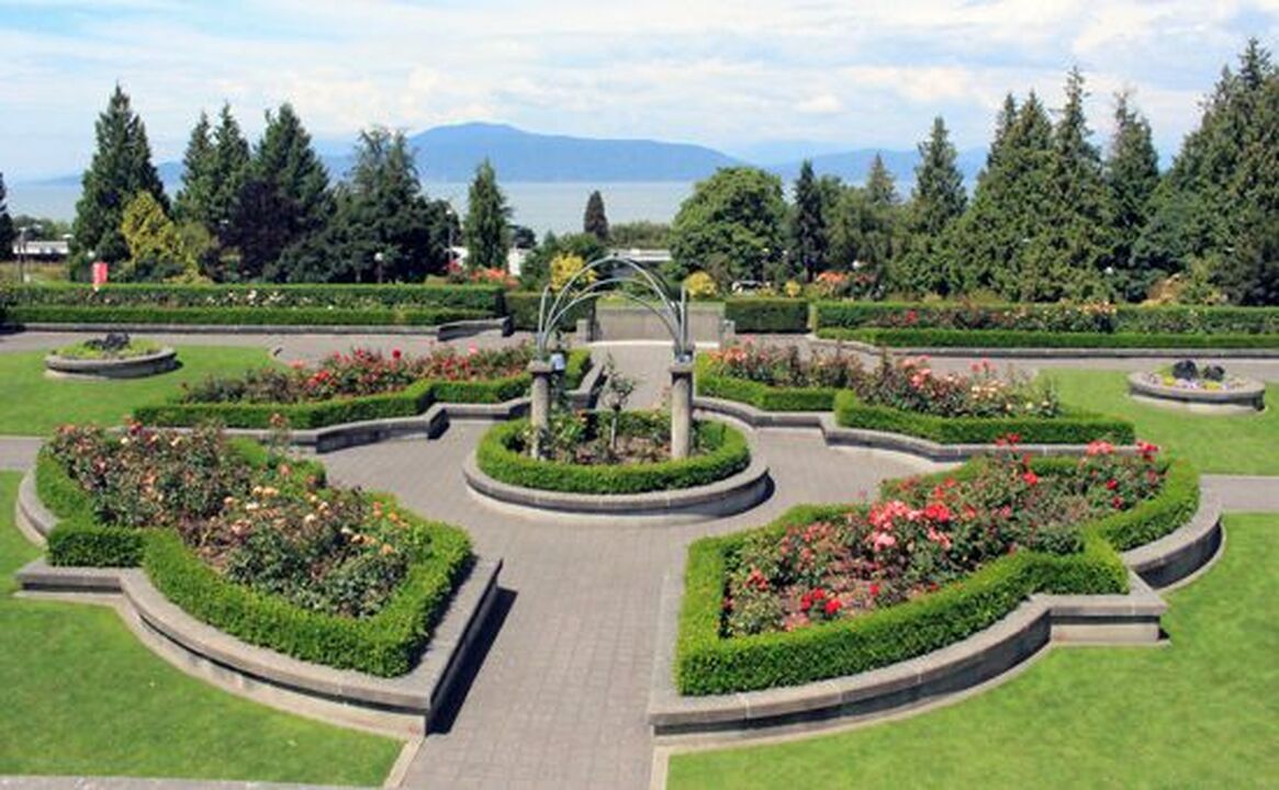 Rose Garden
