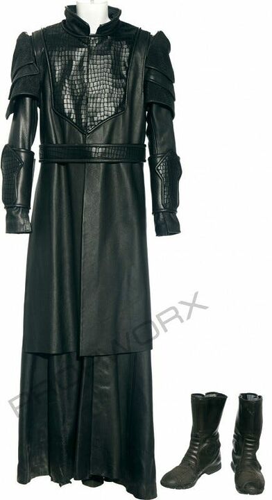 Commandant wraith "La nouvelle reine"