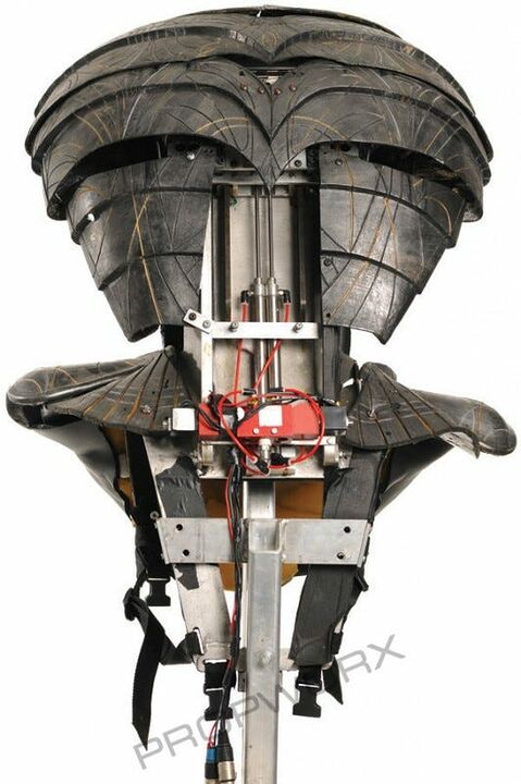 Casque de garde Serpent