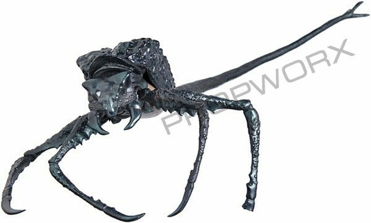 Ectoparasites