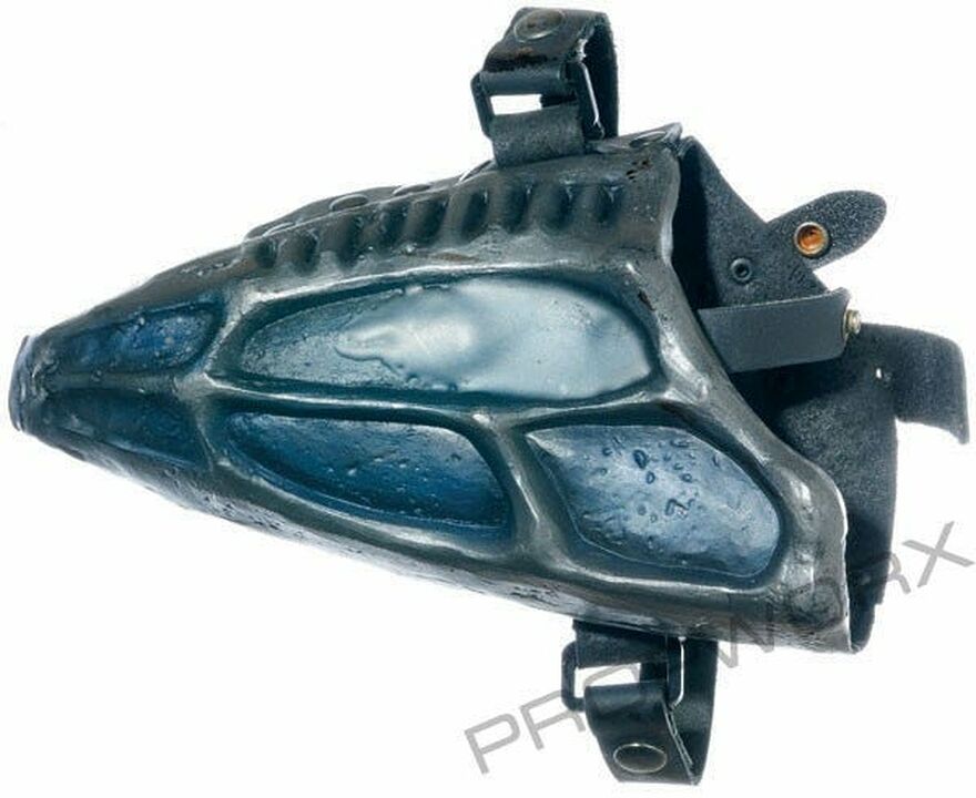 Pistolet incapacitant wraith + holster