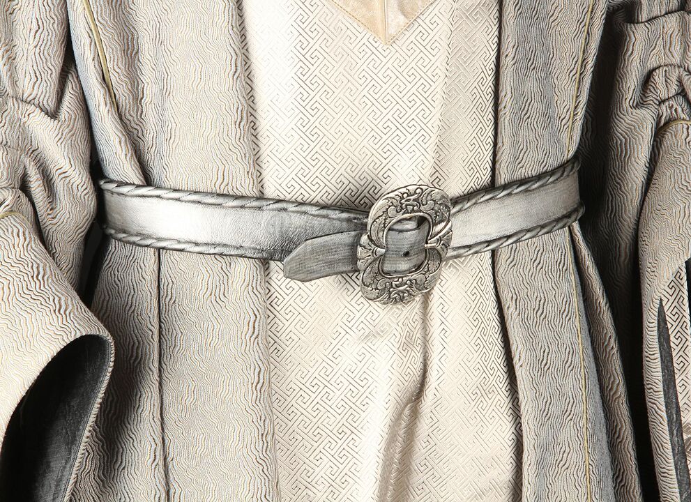 Costume de Merlin