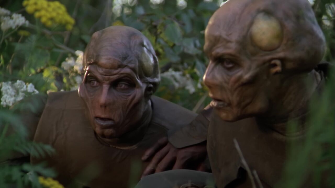 Second de Warrick Finn