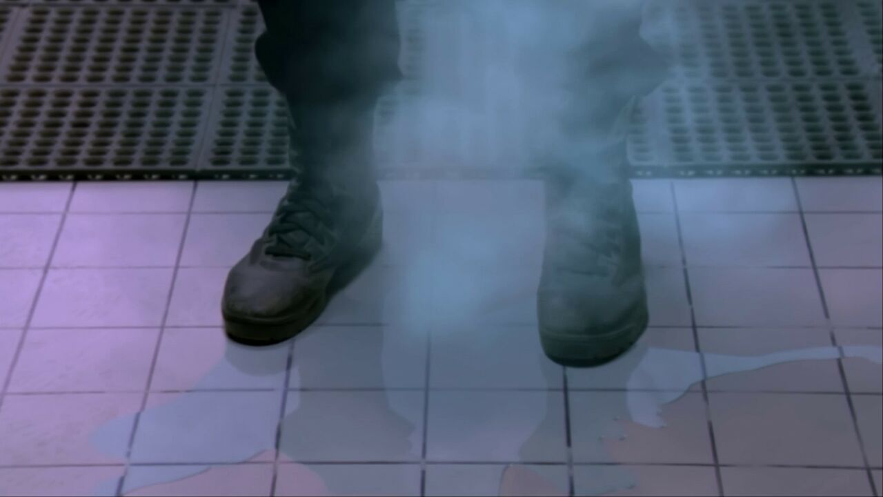 Micro-organismes aquatiques