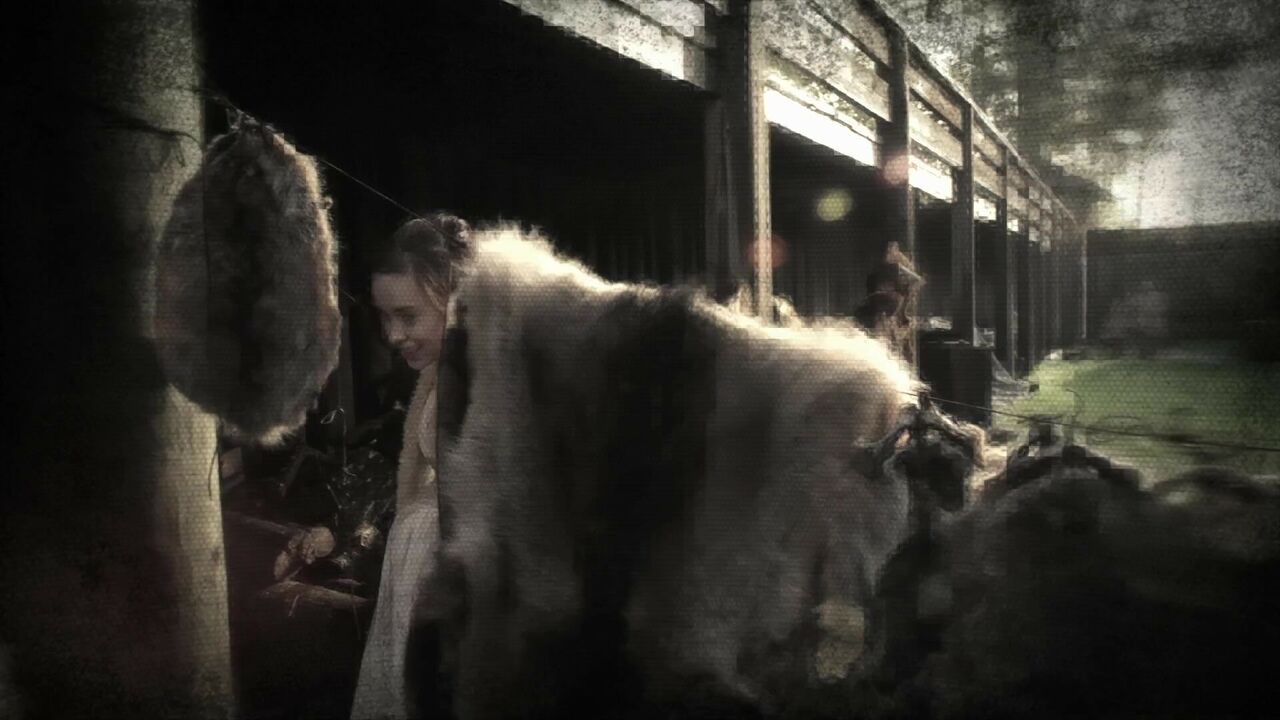 Herbivores novusiens