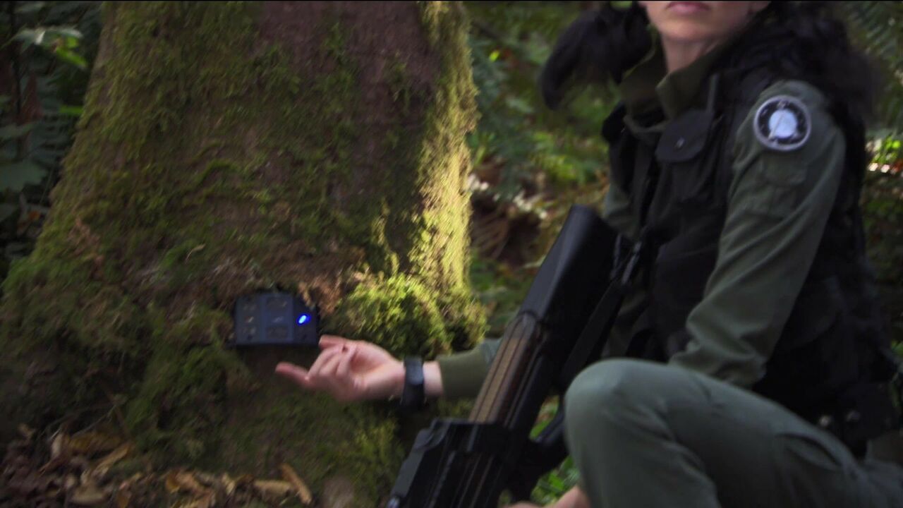 Détecteur de mouvement terrien