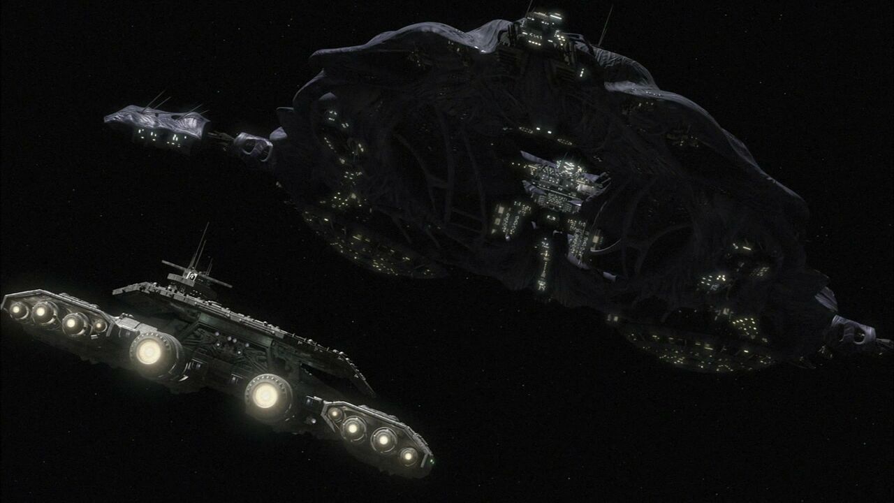 Site de contact entre le Dédale et Todd