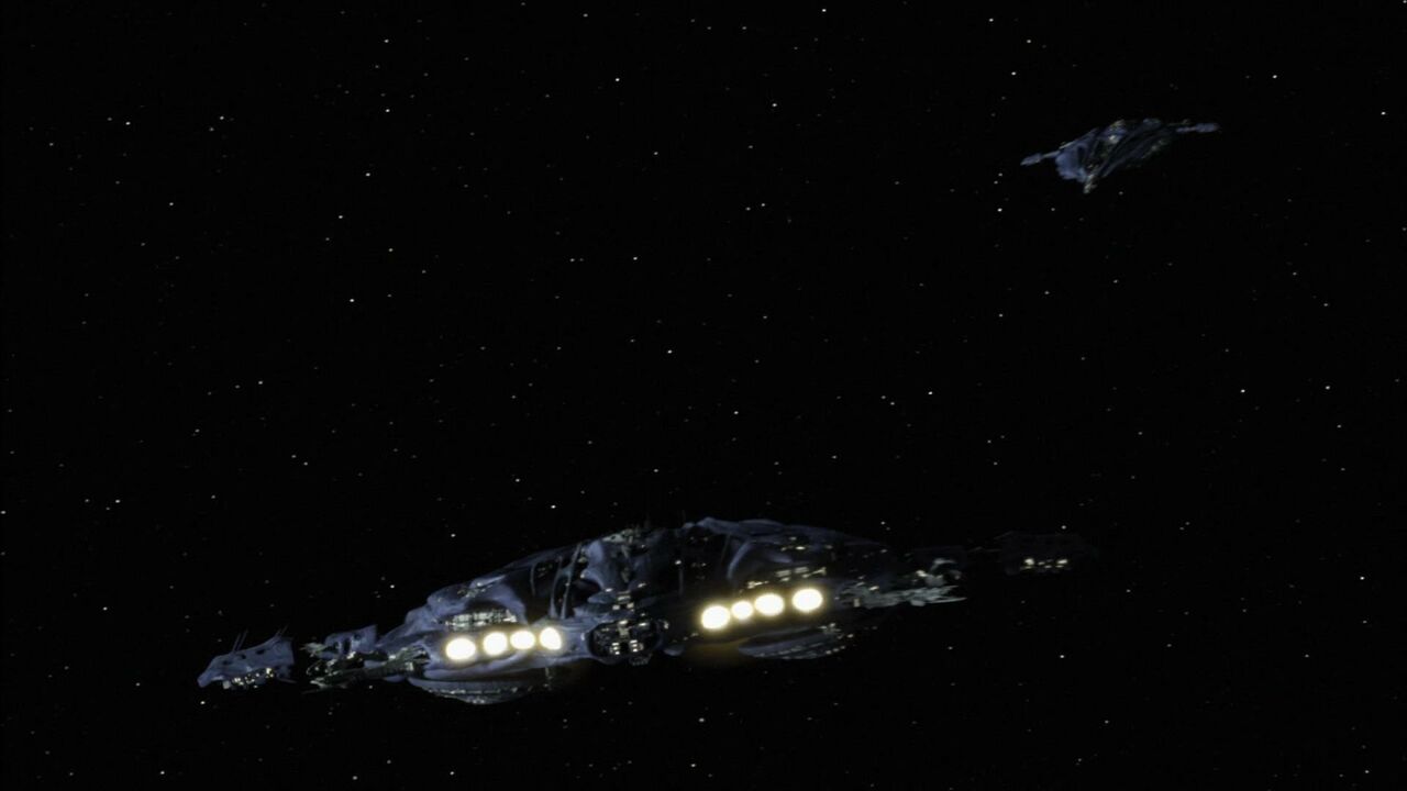 Site de rencontre entre ruches