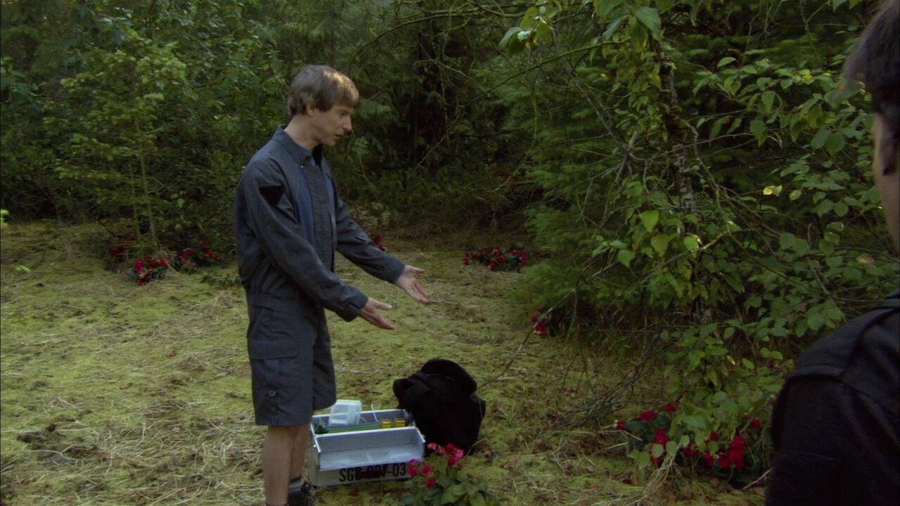 Bégonia de Nouvelle Lantia