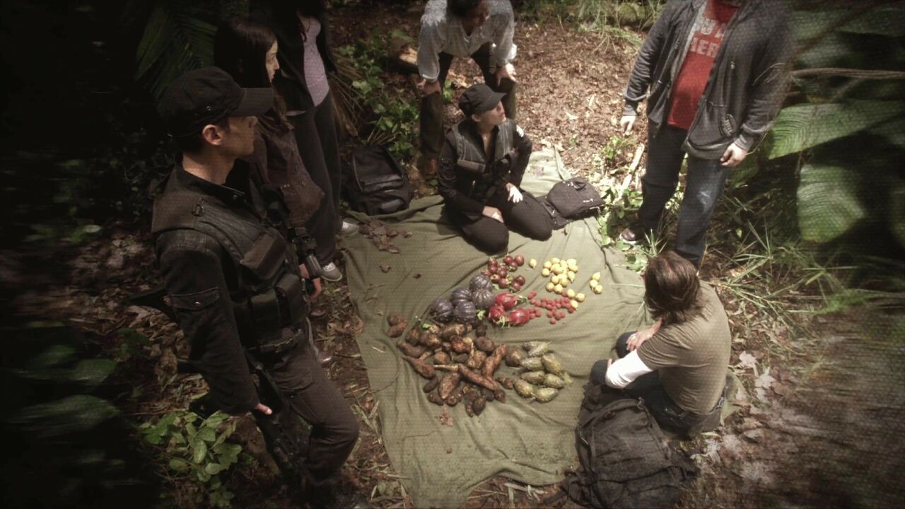 Fruits de la jungle extraterrestre