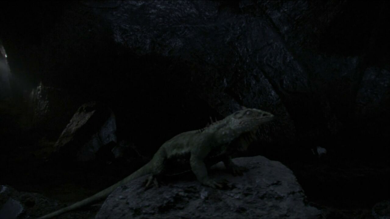 Lézard de Vagonbrei