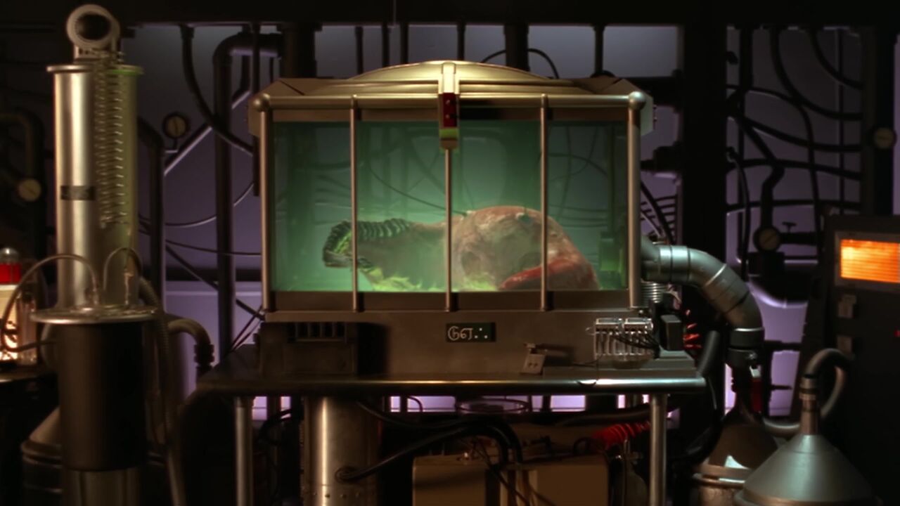 Incubateur à symbiote pangari