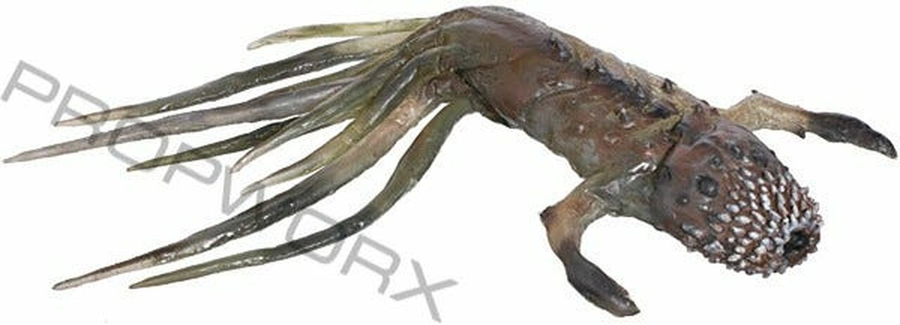Spermophile de la Nouvelle Athos