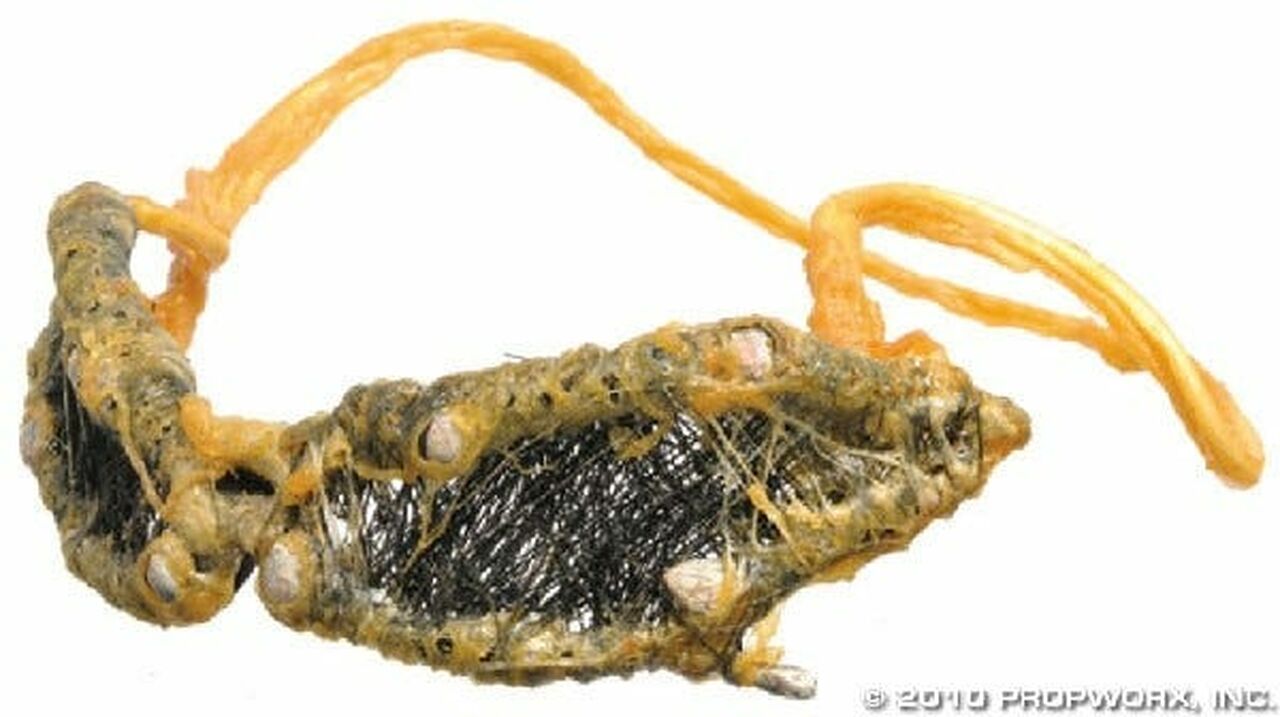 Lunettes de combat wraith